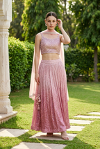 Pink sequins lehenga