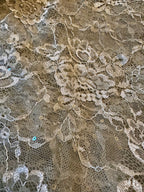 Sea-green chantley lace saree
