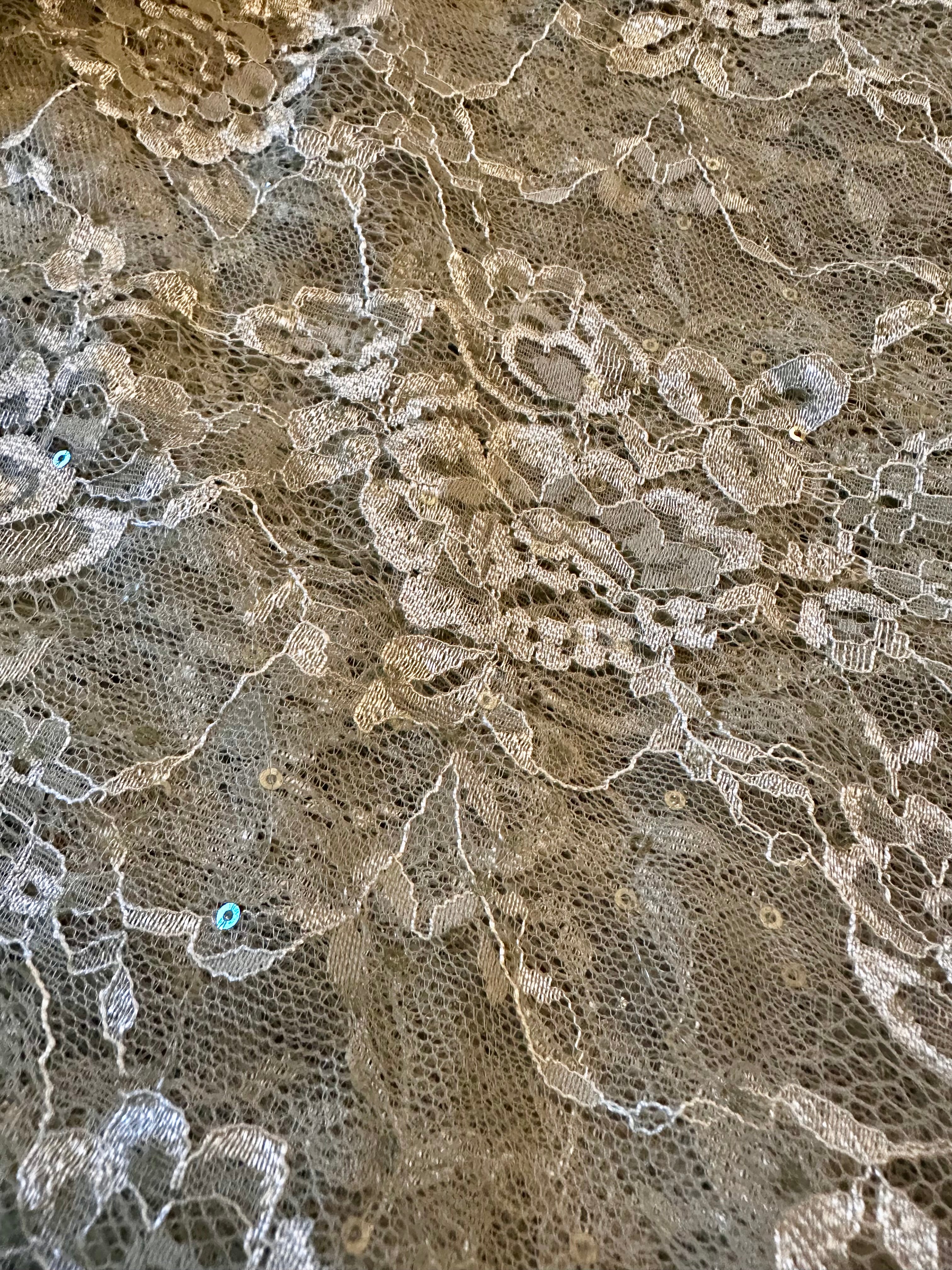 Sea-green chantley lace saree
