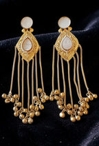 Mother of pearl Kashmiri earrings