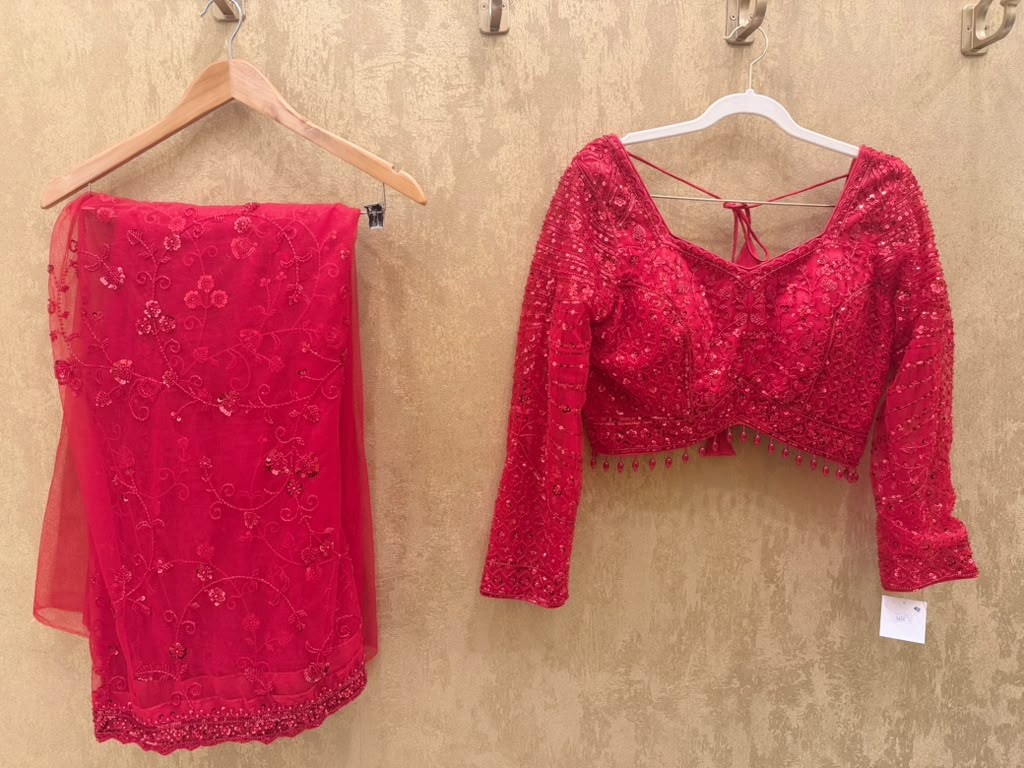 Red net saree