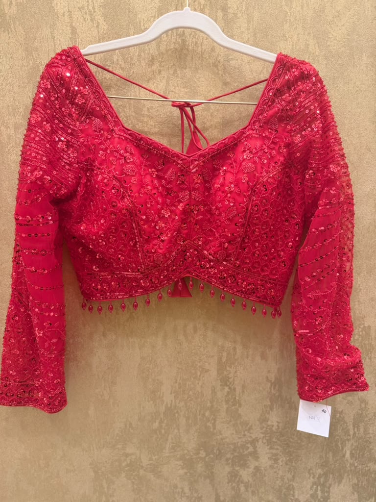 Red net saree