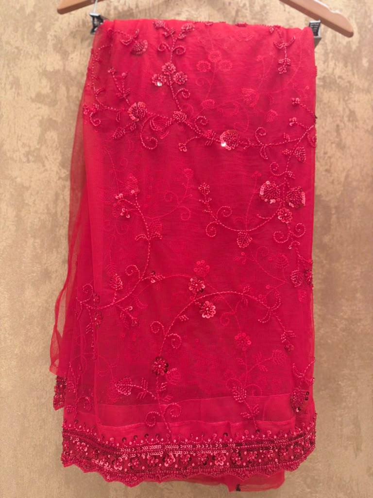 Red net saree